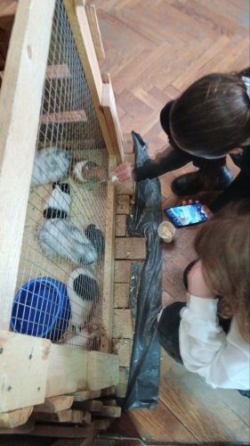 23 марта ребята 4"А" класса посетили выставку-зоопарк "Мир животных". 