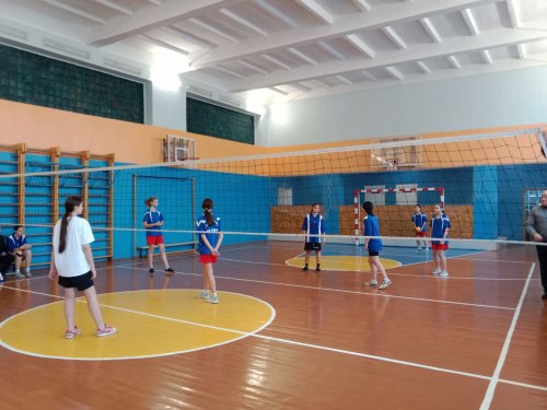 В районных соревнованиях по волейболу приняли участие сборные команды юношей и девушек 8-9 классов Гимназии